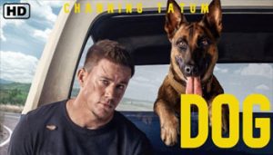 نقد فیلم Dog - بررسی فیلم سگ تولید شده در سال ۲۰۲۲